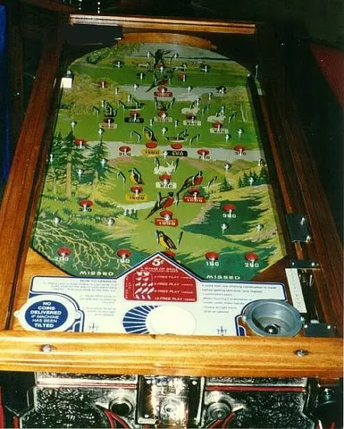 Playfield