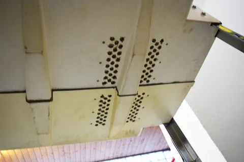 Cabinet - Bottom - Rear
