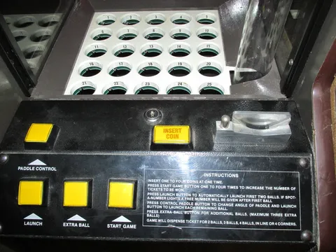Player Control Panel*