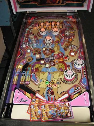 Illuminated Playfield*