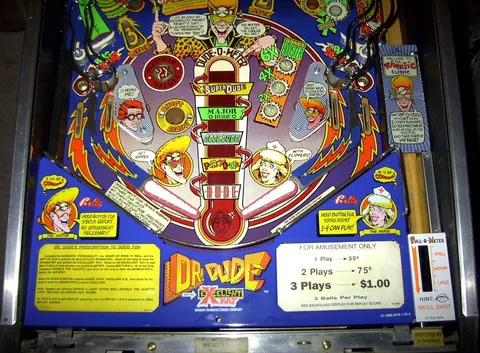 Lower Playfield (WPC Boardset Model)