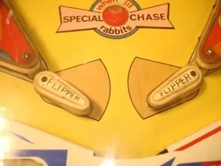 Flipper Area