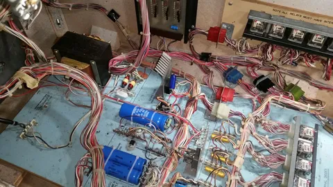 Inside Cabinet - Middle
