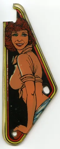 Playfield Plastic - Obverse*