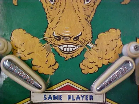 Playfield - Detail