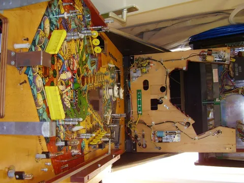 Total View Without Plastics