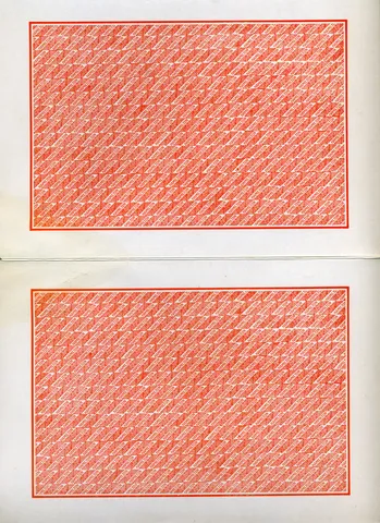 Flyer - Back - Partial