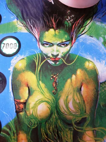 Playfield - Detail