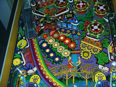 Middle Playfield