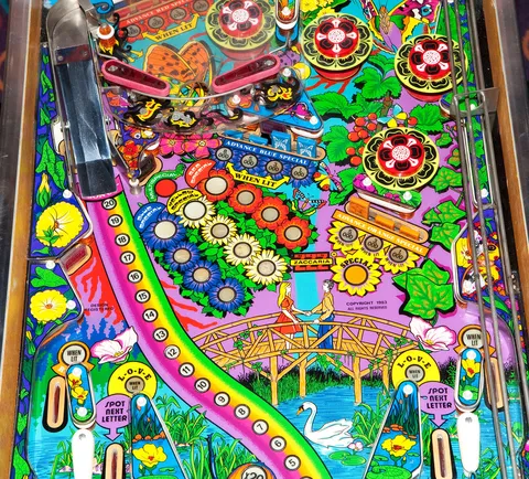 Middle Playfield