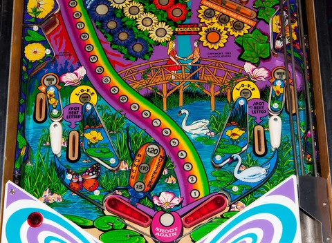 Lower Playfield
