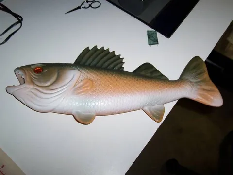 Fish - Obverse*