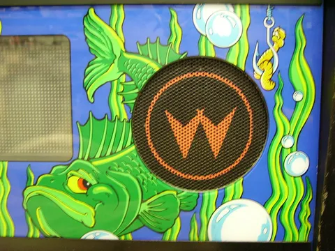 Right Speaker Grille