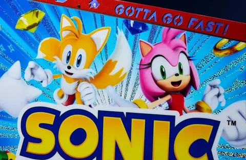 Sonic the Hedgehog (Collector's Edition) image 27