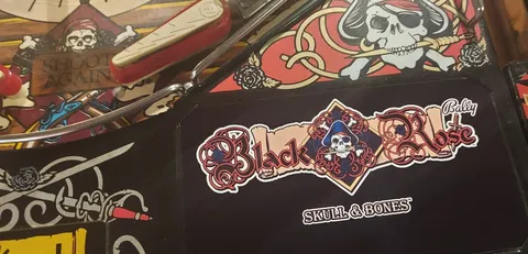 Black Rose: Skull and Bones (kit) image 16
