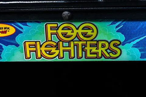 Foo Fighters (LE) image 23