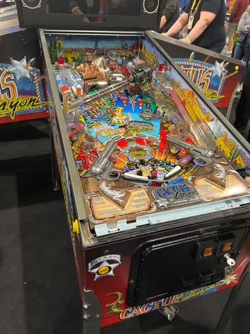 Cactus Canyon (Remake - LE) image 26