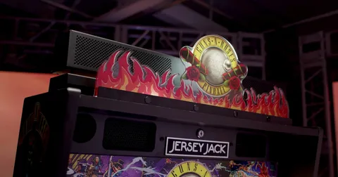 Guns N' Roses (CE) image 10