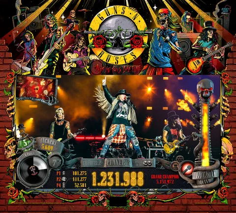 Guns N' Roses (LE) image 28