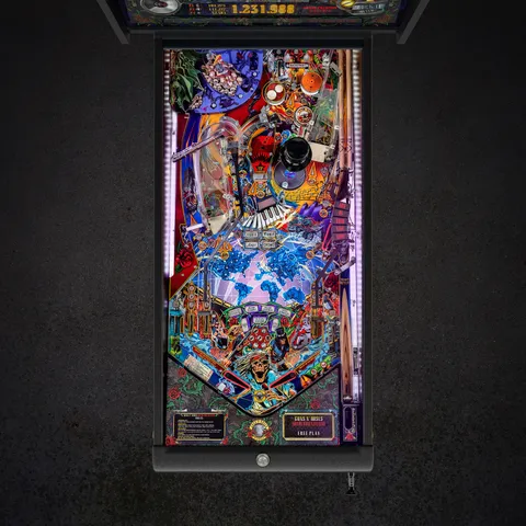 Guns N' Roses (SE) image 28