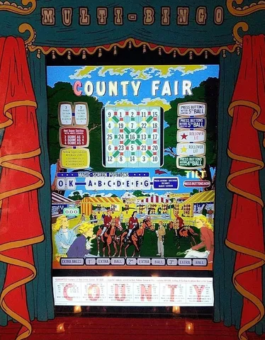 The Multi-Bingo image 1
