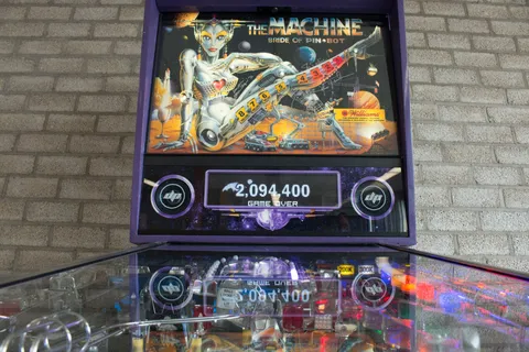 Bride of Pinbot 2.0 image 22
