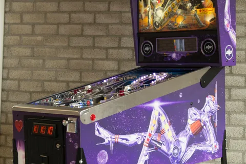 Bride of Pinbot 2.0 image 24