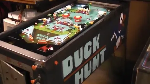 Duck Hunt image 5