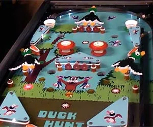 Duck Hunt image 6