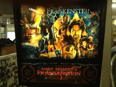 Mary Shelley's Frankenstein image 8