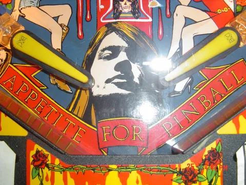 Guns N' Roses image 24
