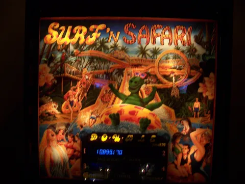 Surf 'n Safari image 18