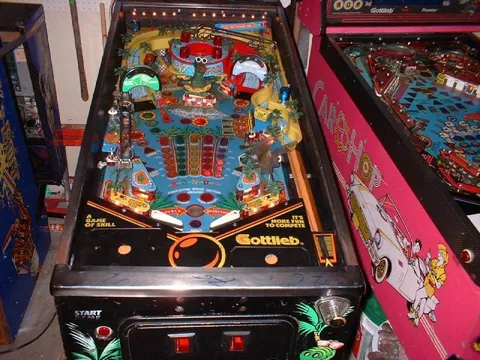 Surf 'n Safari image 19