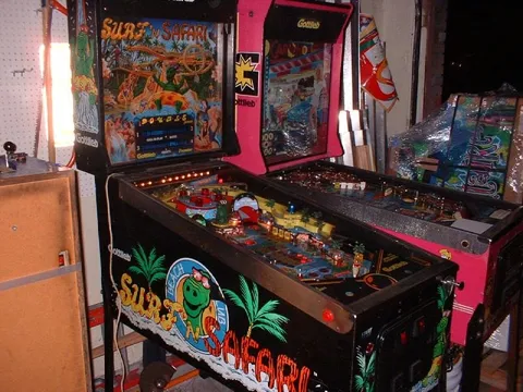 Surf 'n Safari image 30