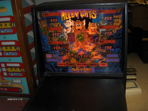 Alley Cats image 12