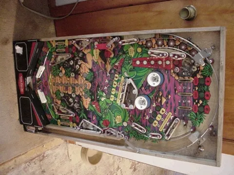 Lizard image 1