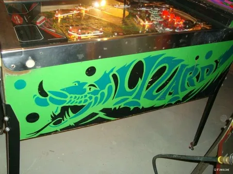 Lizard image 19
