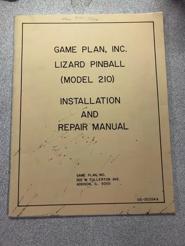 Lizard image 2