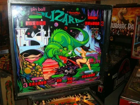 Lizard image 20
