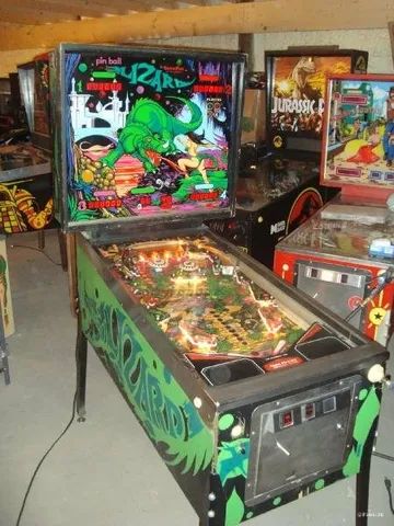 Lizard image 23