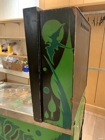 Lizard image 28
