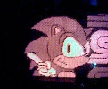 Display Detail, Sonic The Hedgehog
