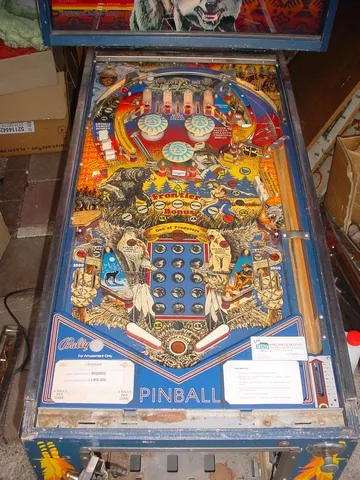 Playfield*