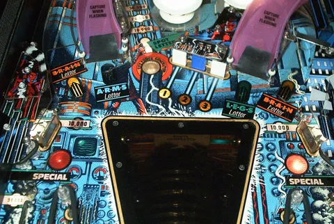 Middle Playfield